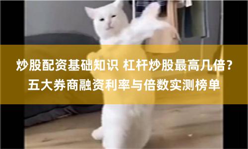 炒股配资基础知识 杠杆炒股最高几倍？五大券商融资利率与倍数实测榜单